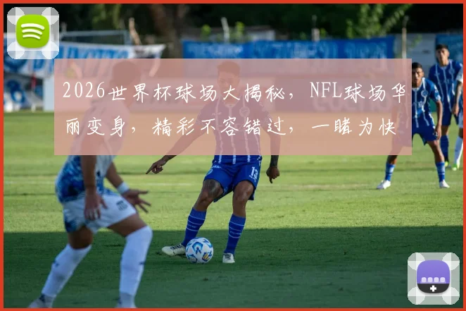 2026世界杯球场大揭秘，NFL球场华丽变身，精彩不容错过，一睹为快
