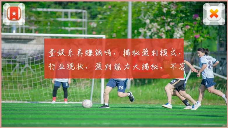 壹娱乐真赚钱吗，揭秘盈利模式，行业现状，盈利能力大揭秘，不容错过